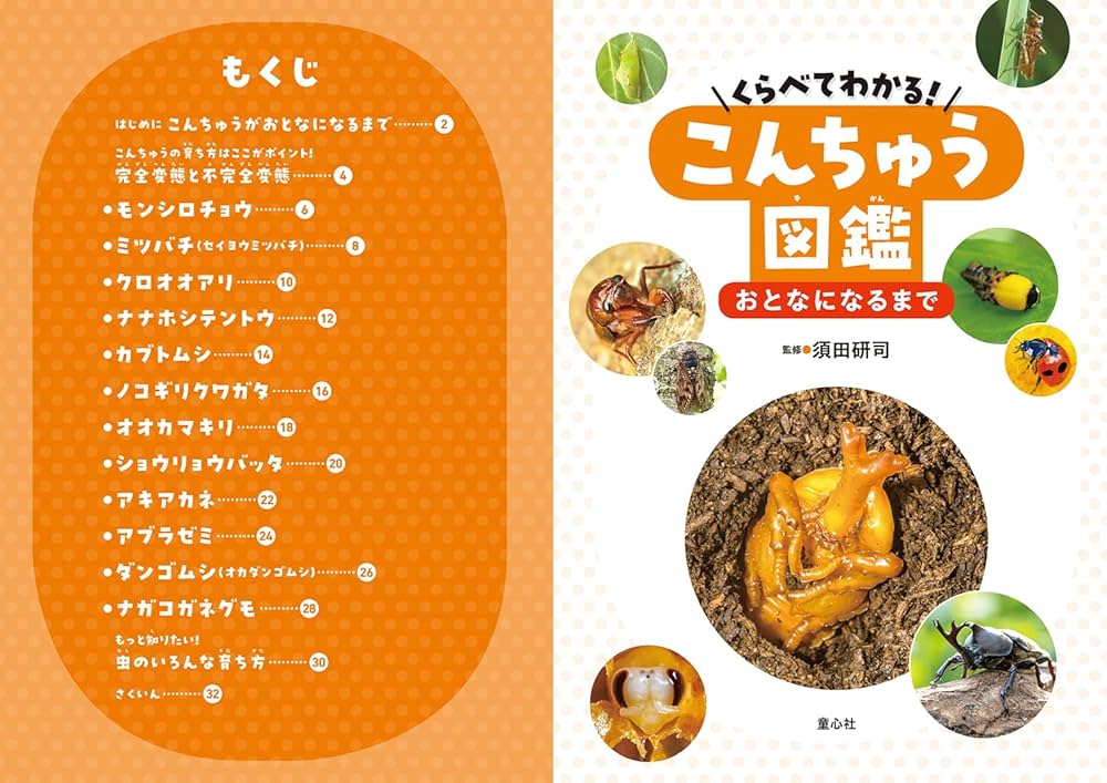 くらべてわかる!こんちゅう図鑑 おとなになるまで (第3巻